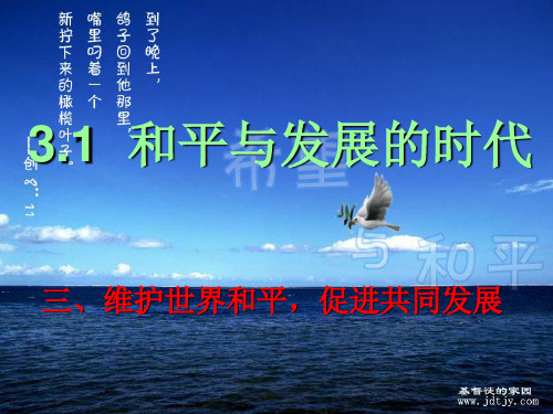 维护世界和平,促进共同发展PPT课件4 人教课标版