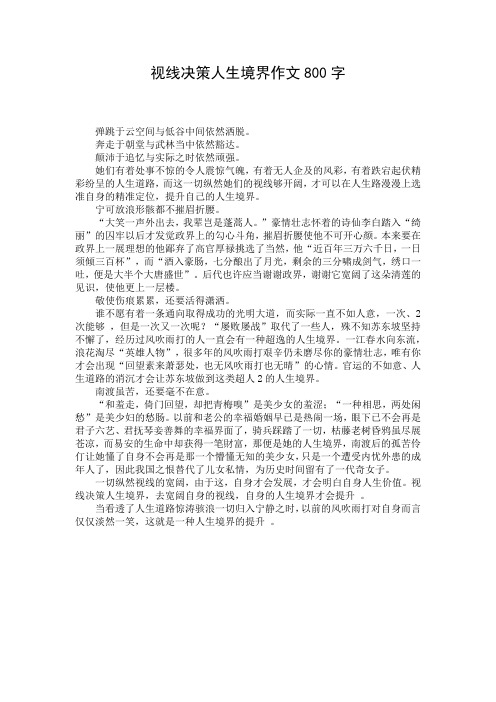 视线决策人生境界作文800字