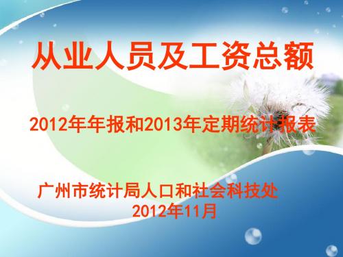 从业人员及工资总额定期统计报表(ppt 61页)