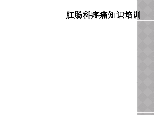肛肠科疼痛知识培训