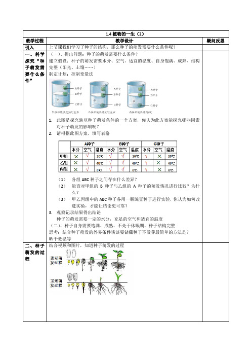 浙教版科学七下1.4《植物的一生(2)》表格教案设计