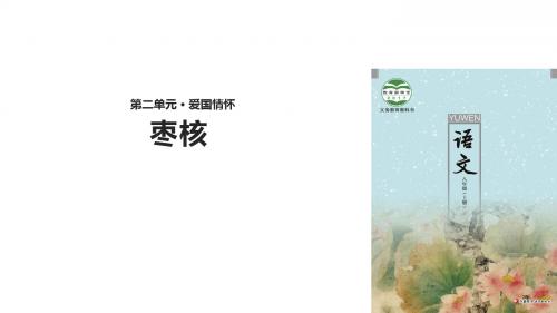 (新)苏教版八年级语文上册第5课《枣核》精美课件