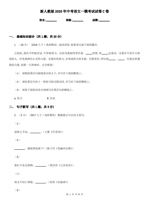 新人教版2020年中考语文一模考试试卷C卷