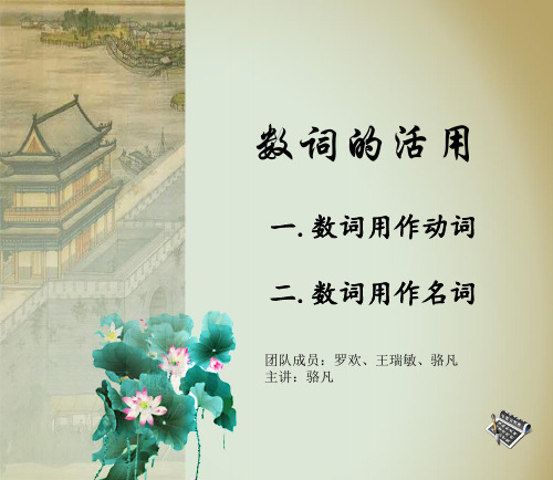 数词的活用