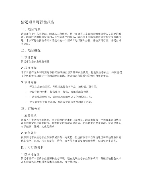 清远项目可行性报告