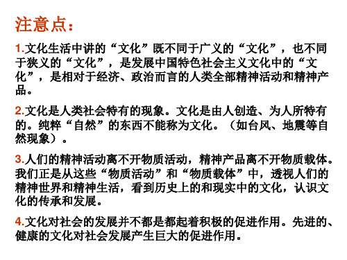 高二政治文化与社会(PPT)4-4