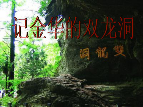 小学语文记金华的双龙洞-.ppt课件