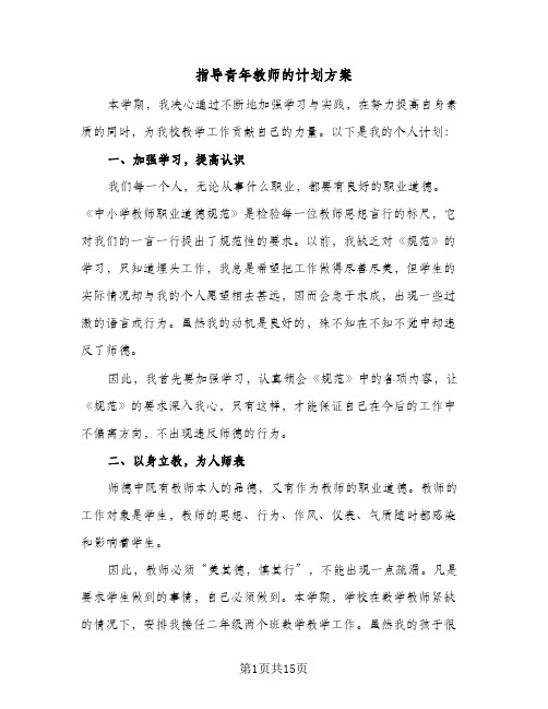 指导青年教师的计划方案(5篇)