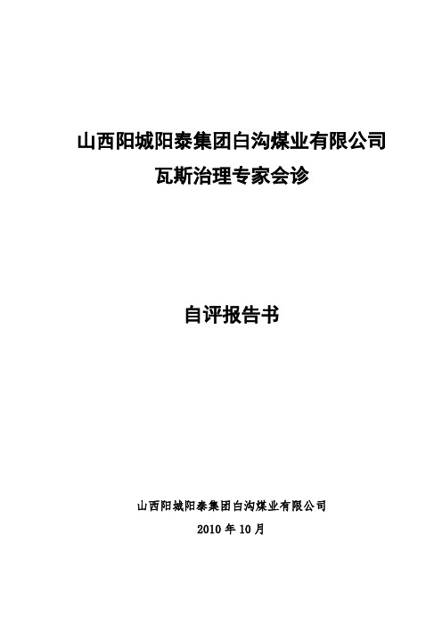 (目录)煤矿瓦斯治理专家会诊自评报告书讲解