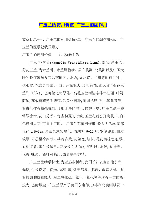 广玉兰的药用价值广玉兰的副作用