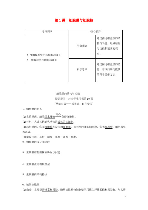 高考生物一轮总复习第2单元第1讲细胞膜与细胞核教案