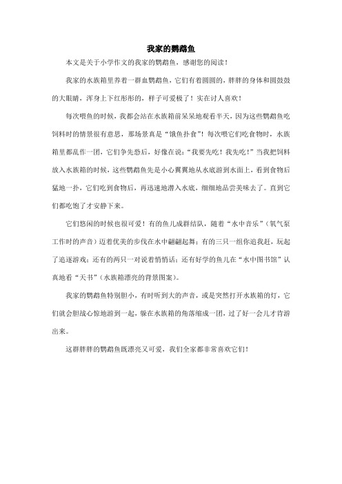 我家的鹦鹉鱼_小学作文
