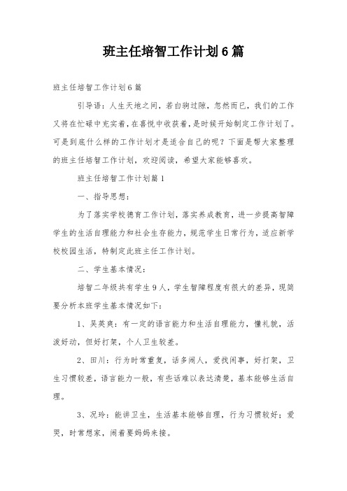 班主任培智工作计划6篇