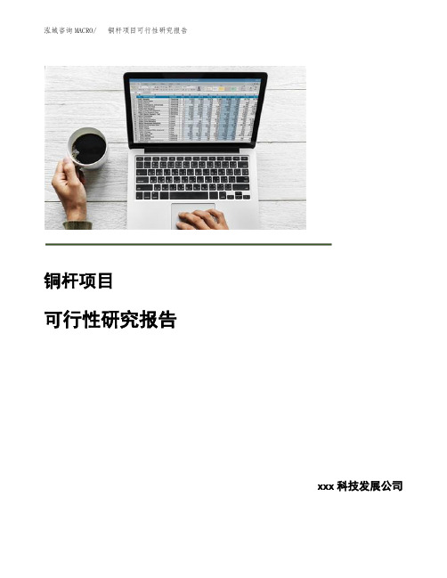 铜杆项目可行性研究报告
