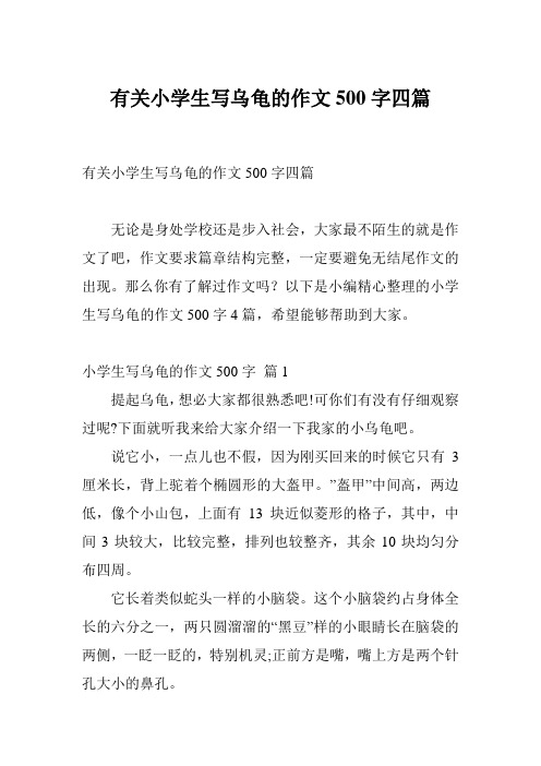 有关小学生写乌龟的作文500字四篇