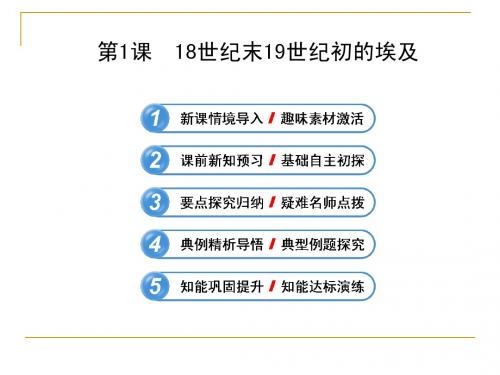 6.1 18世纪末19世纪初的埃及 课件(人教版选修1)