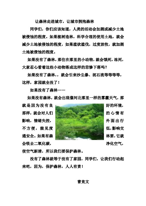 让森林走进城市