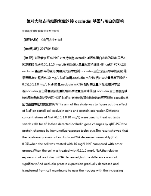 氟对大鼠支持细胞紧密连接occludin基因与蛋白的影响