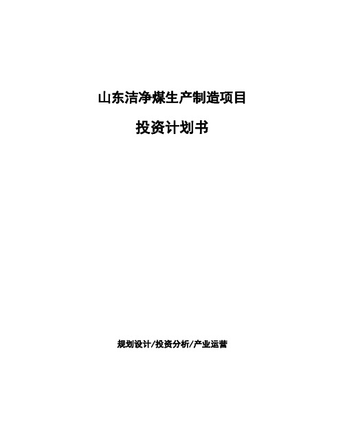 山东洁净煤生产制造项目投资计划书