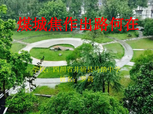人教版高中地理必修二第四章问题研究《煤城焦作出路何在》优质课件(共26张PPT)