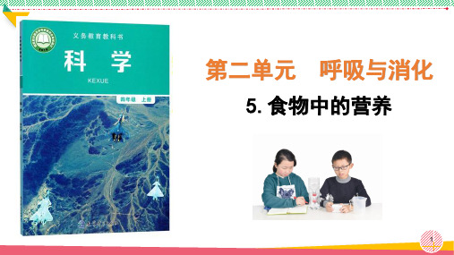 小学科学《食物中的营养》优质课件