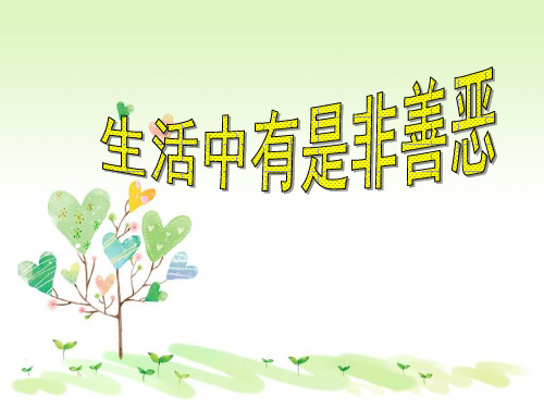 鲁教版初一下册政治17.0第17课看社会辨是非PPT课件(3)