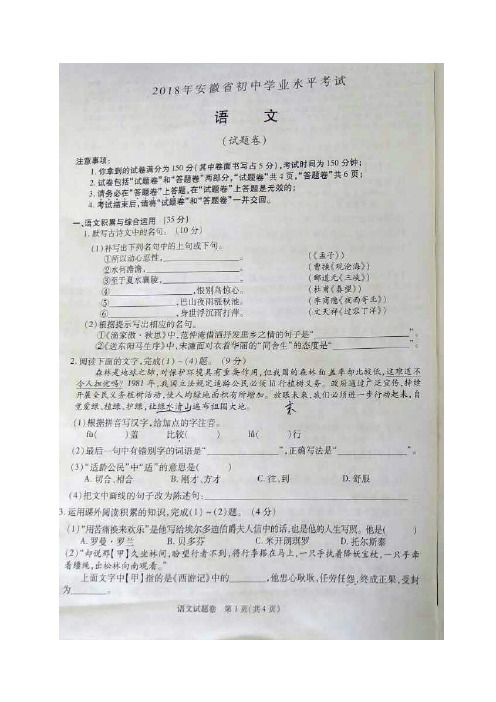 部编版初中语文-安徽省2018年中考语文试题(图片版,含Word答案)