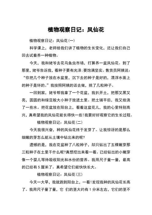 植物观察日记：凤仙花