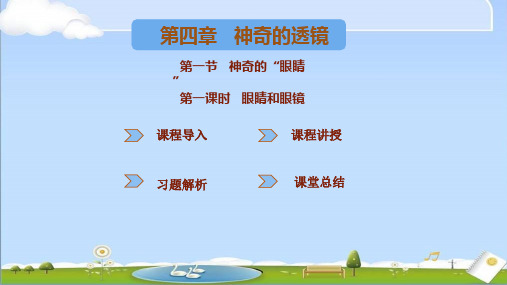 2024年新沪科版八年级上册物理课件 第四章神奇的透镜 第三节神奇的“眼睛” 第1课时眼睛和眼镜 