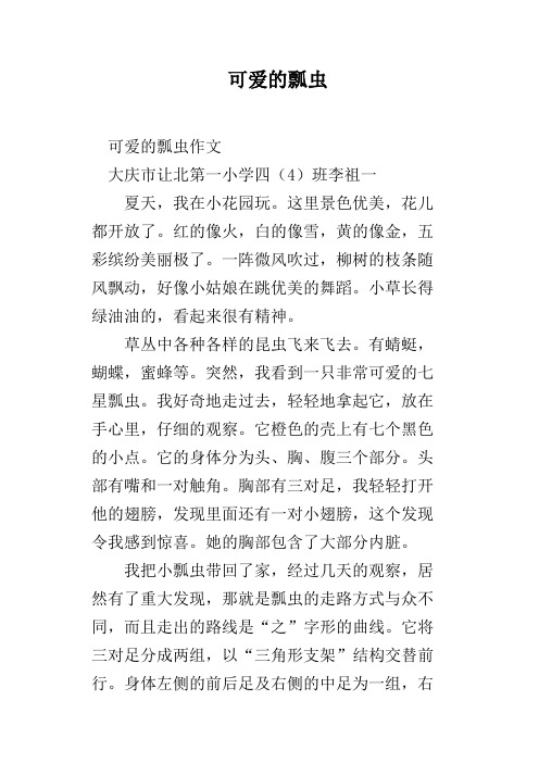 可爱的瓢虫