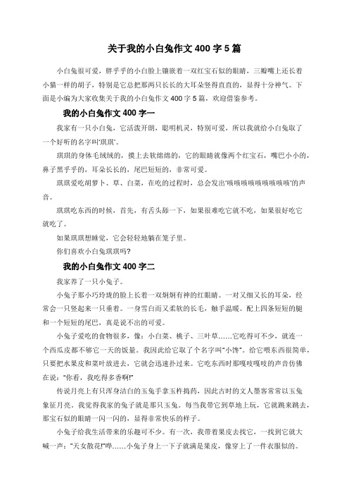 关于我的小白兔作文400字5篇