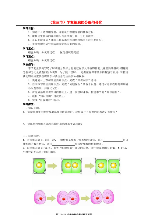 苏教版生物-七年级上册七年级生物上册 2、3 细胞的分裂与分化学案