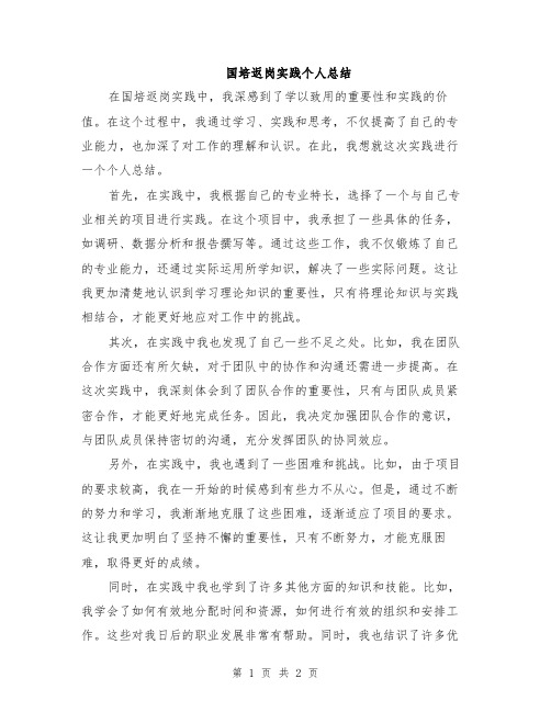 国培返岗实践个人总结