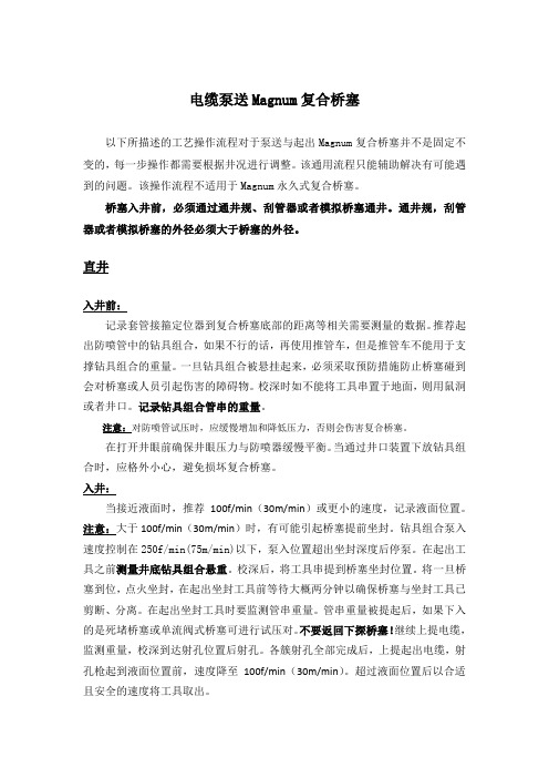 电缆泵送复合桥塞