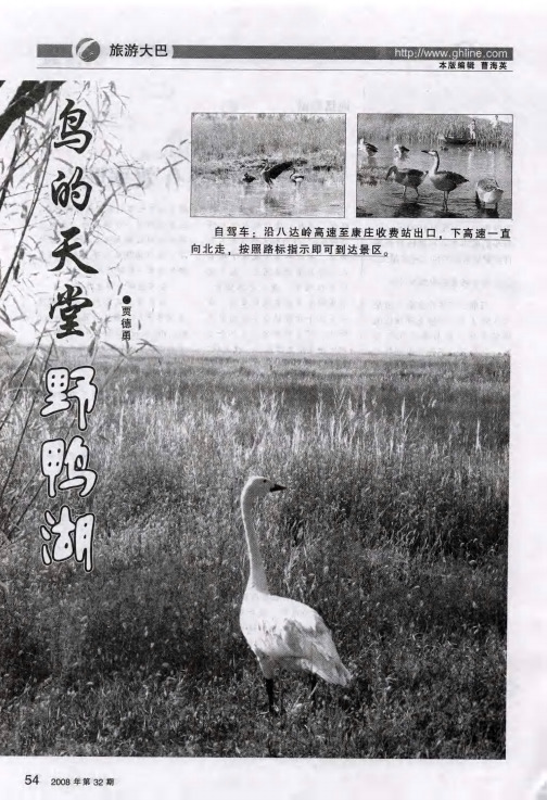 鸟的天堂 野鸭湖