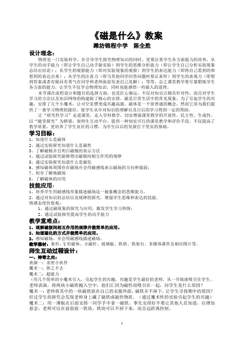 《磁现象》教案(详细)