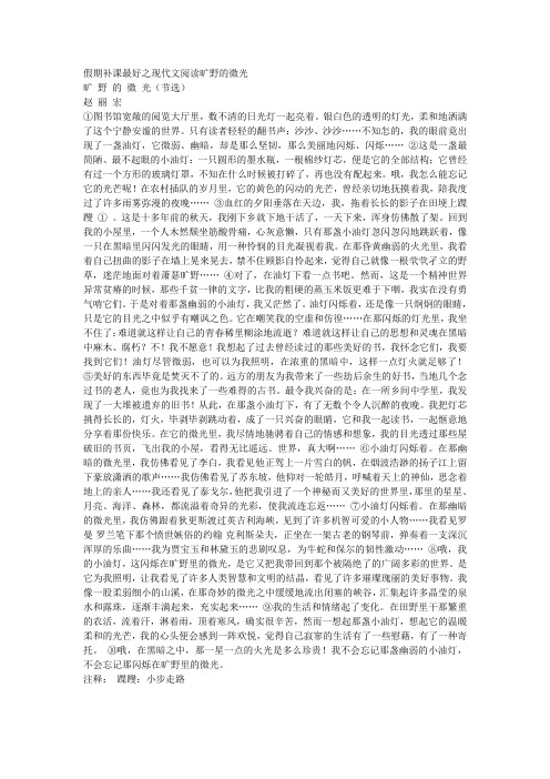 假期补课最好之现代文阅读旷野的微光