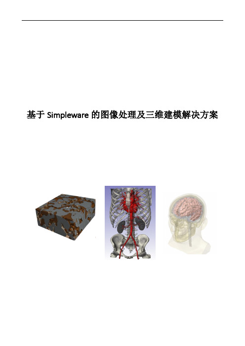 基于Simpleware的图像处理及三维建模解决方案
