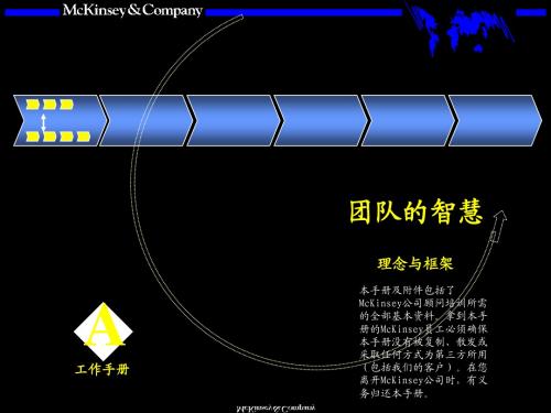 麦肯锡内部培训手册——团队的智慧