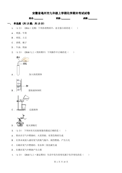 安徽省亳州市九年级上学期化学期末考试试卷