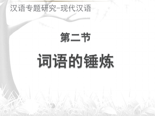 词语的锤炼(现代汉语课件ppt)