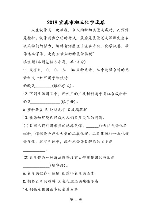 宜宾市初三化学试卷-word文档