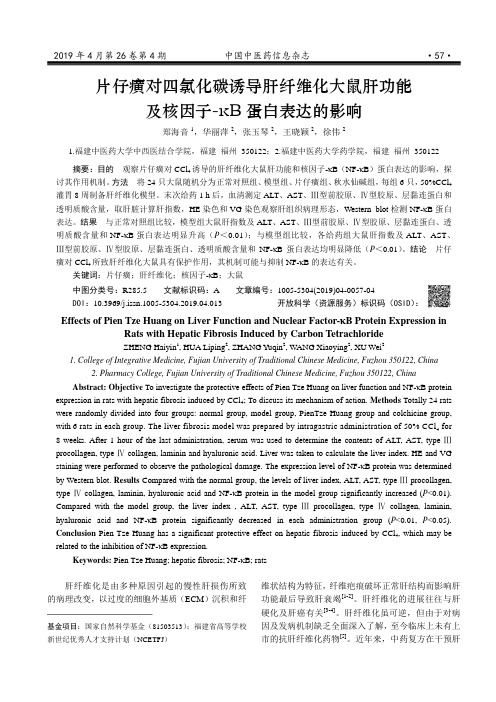 片仔癀对四氯化碳诱导肝纤维化大鼠肝功能及核因子κB蛋白表达的影响