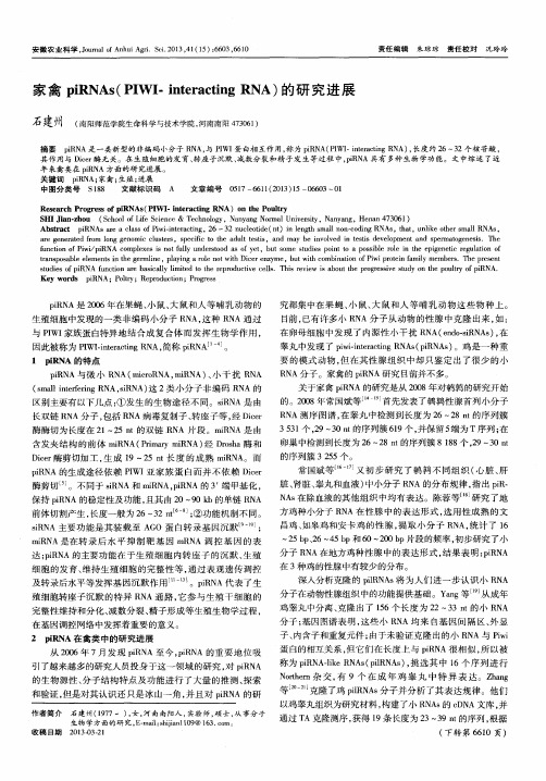 家禽piRNAs(PIWI-interacting RNA)的研究进展