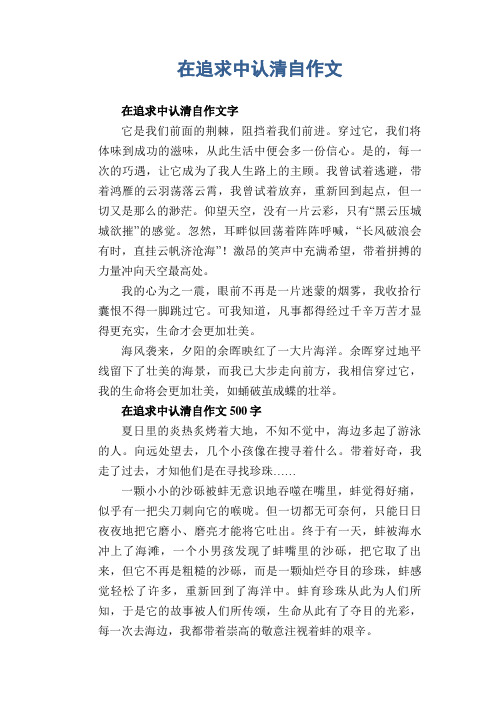 高中生优秀习作范文：在追求中认清自作文