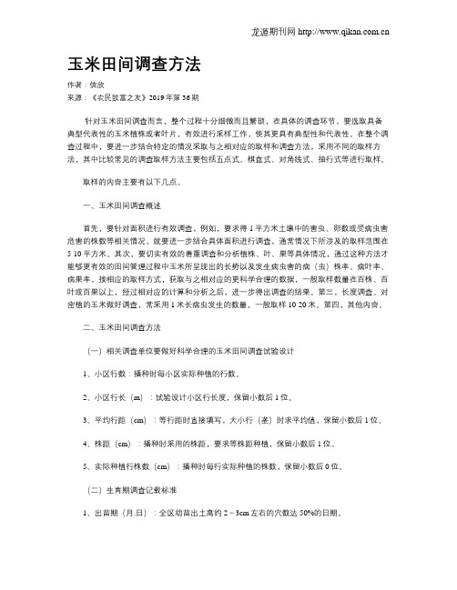 玉米田间调查方法