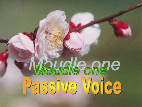 语态(Voice)是动词的一种形式,它表示句子的主语和谓语