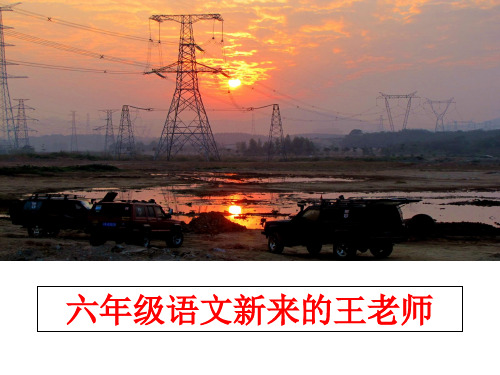 最新六年级语文新来的王老师