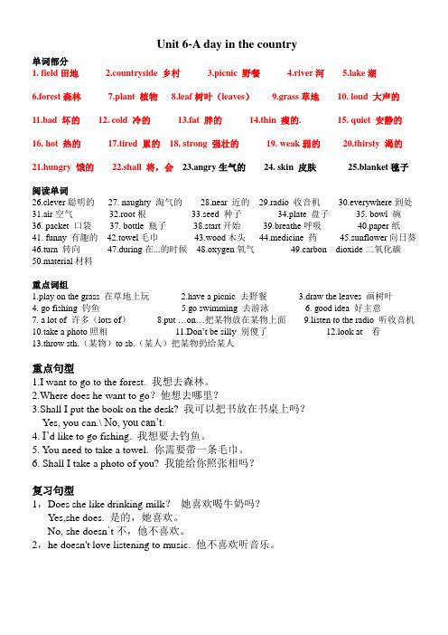 剑桥少儿英语KB3-Unit6知识点总结