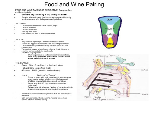 Food and Wine Pairing-食物和葡萄酒的搭配
